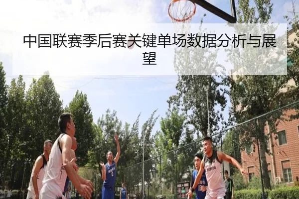 中国联赛季后赛关键单场数据分析与展望